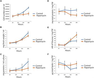 Quantitative Phosphoproteomic and System-Level Analysis of TOR Inhibition Unravel Distinct Organellar Acclimation in Chlamydomonas reinhardtii